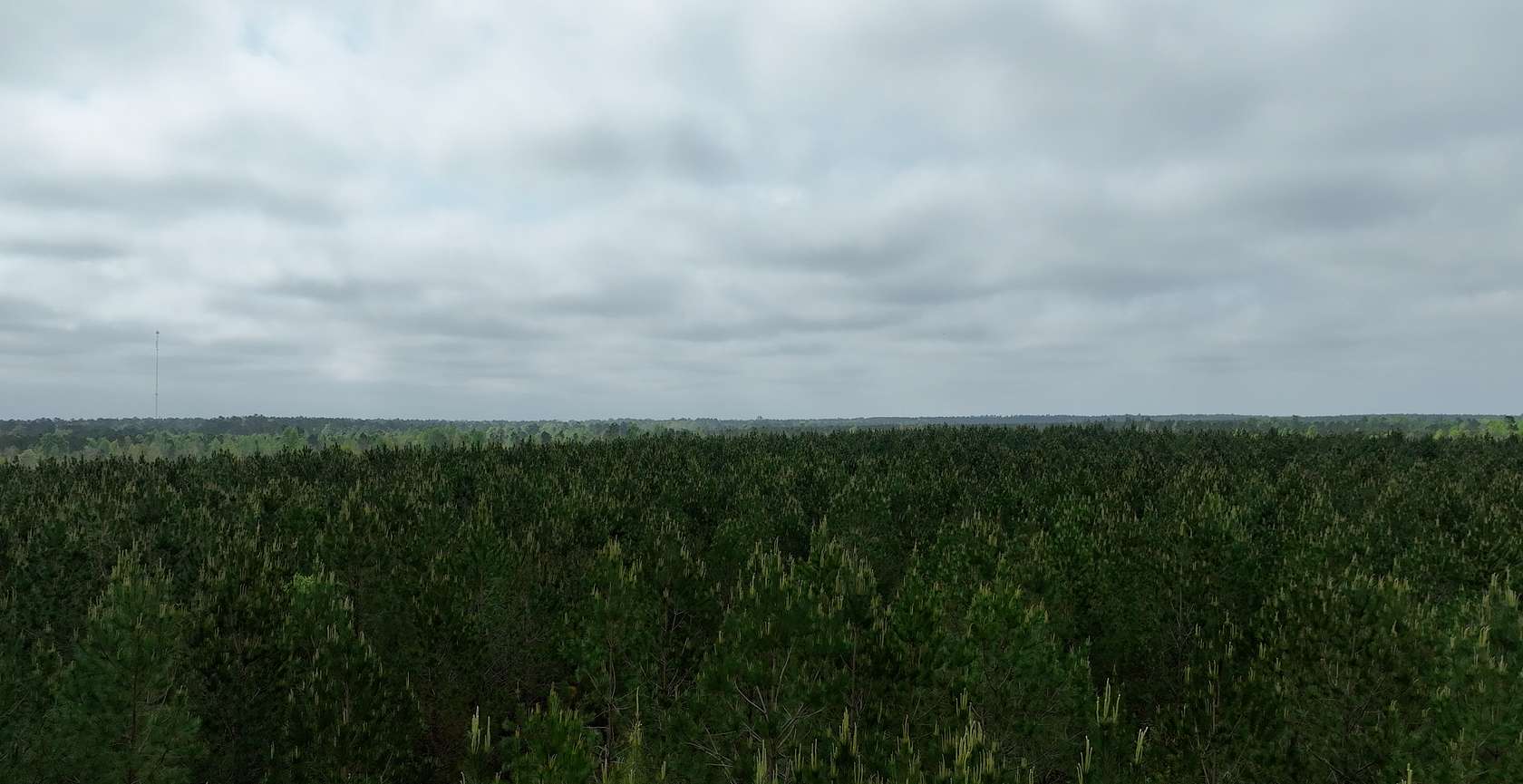 39.4 Acres of Land for Sale in Midville, Georgia