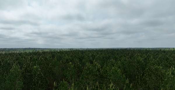 39.4 Acres of Land for Sale in Midville, Georgia