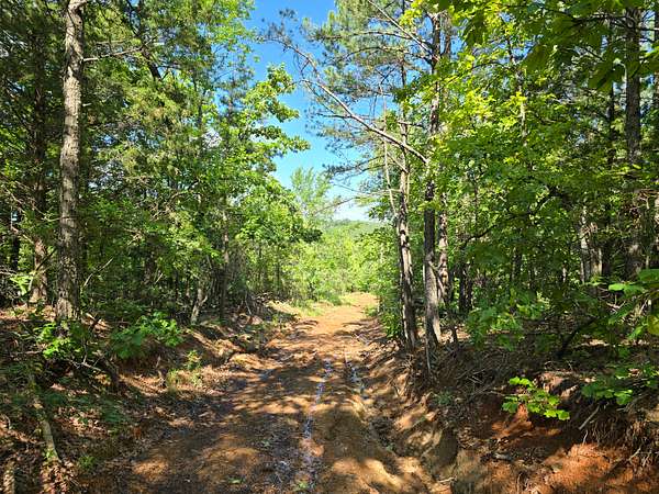 29 Acres of Land for Sale in Heavener, Oklahoma