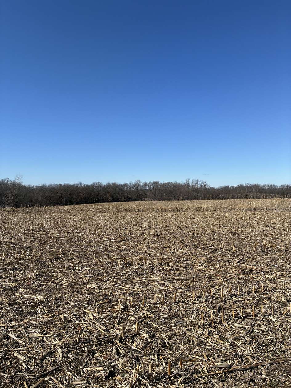 40 Acres of Land for Sale in Maysville, Missouri