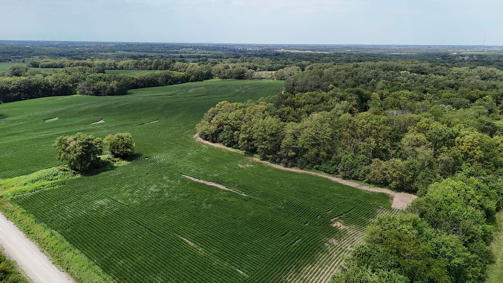 40 Acres of Land for Sale in Maysville, Missouri