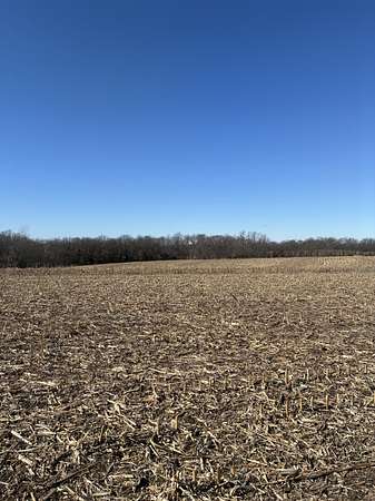 40 Acres of Land for Sale in Maysville, Missouri