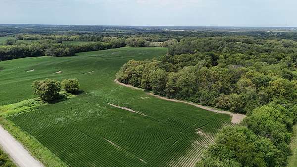 40 Acres of Land for Sale in Maysville, Missouri