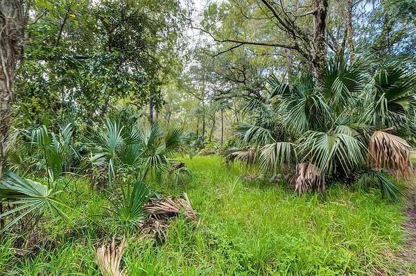 8.15 Acres of Land for Sale in Thonotosassa, Florida