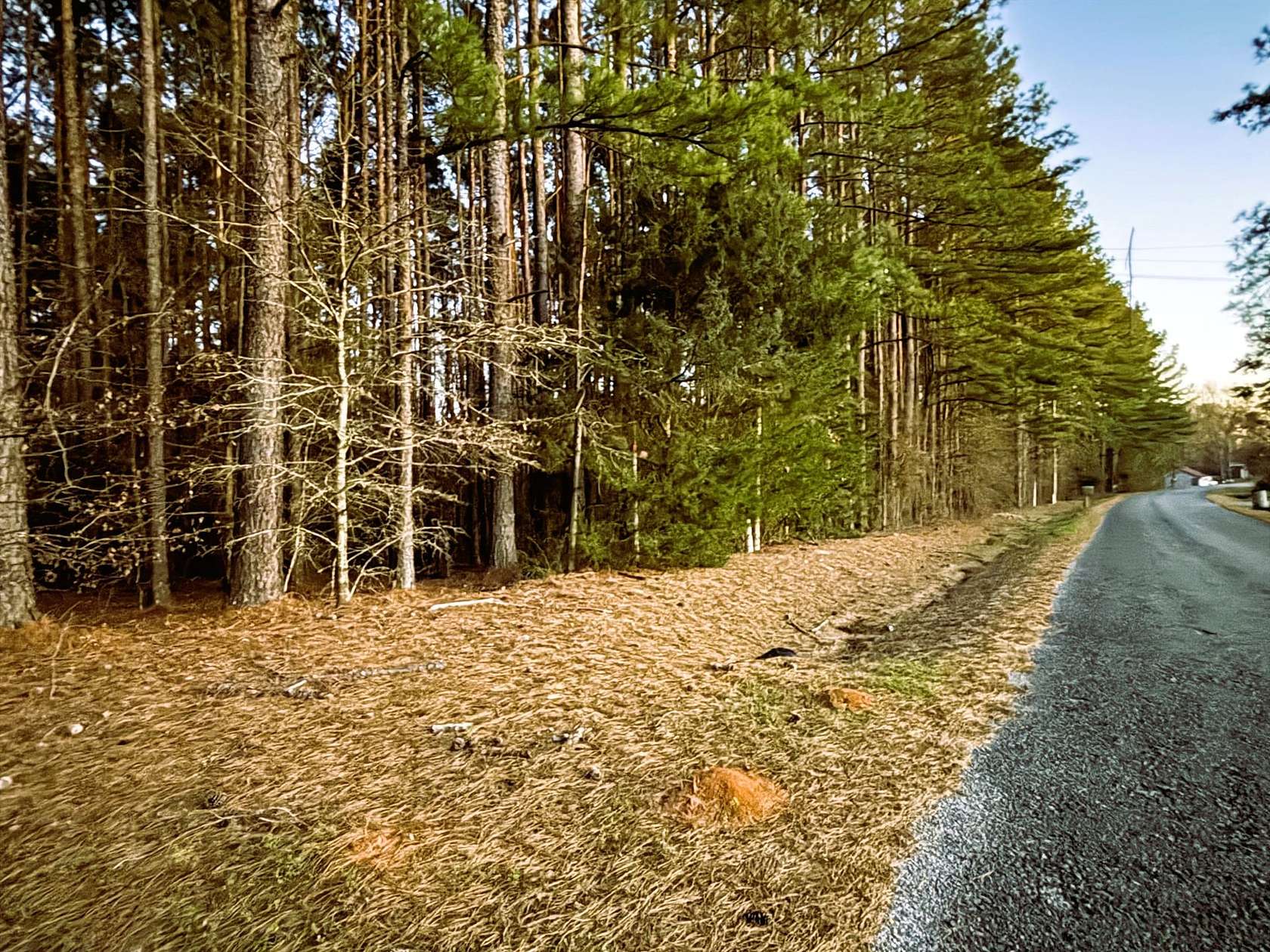 18.1 Acres of Recreational Land for Sale in Philadelphia, Mississippi