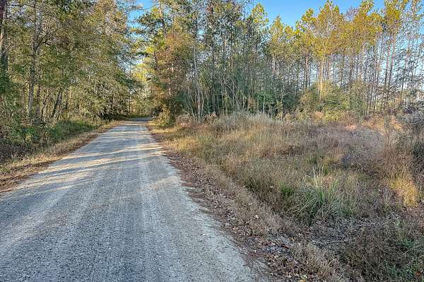 49 Acres of Recreational Land for Sale in Leesville, Louisiana