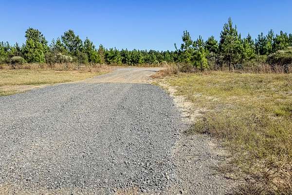 120 Acres of Recreational Land for Sale in Zwolle, Louisiana