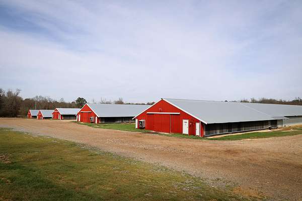 34 Acres of Agricultural Land with Home for Sale in Bernice, Louisiana