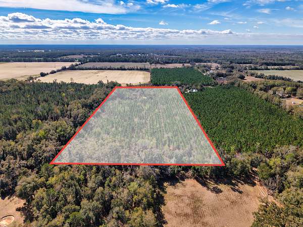 16.8 Acres of Land for Sale in Trenton, Florida