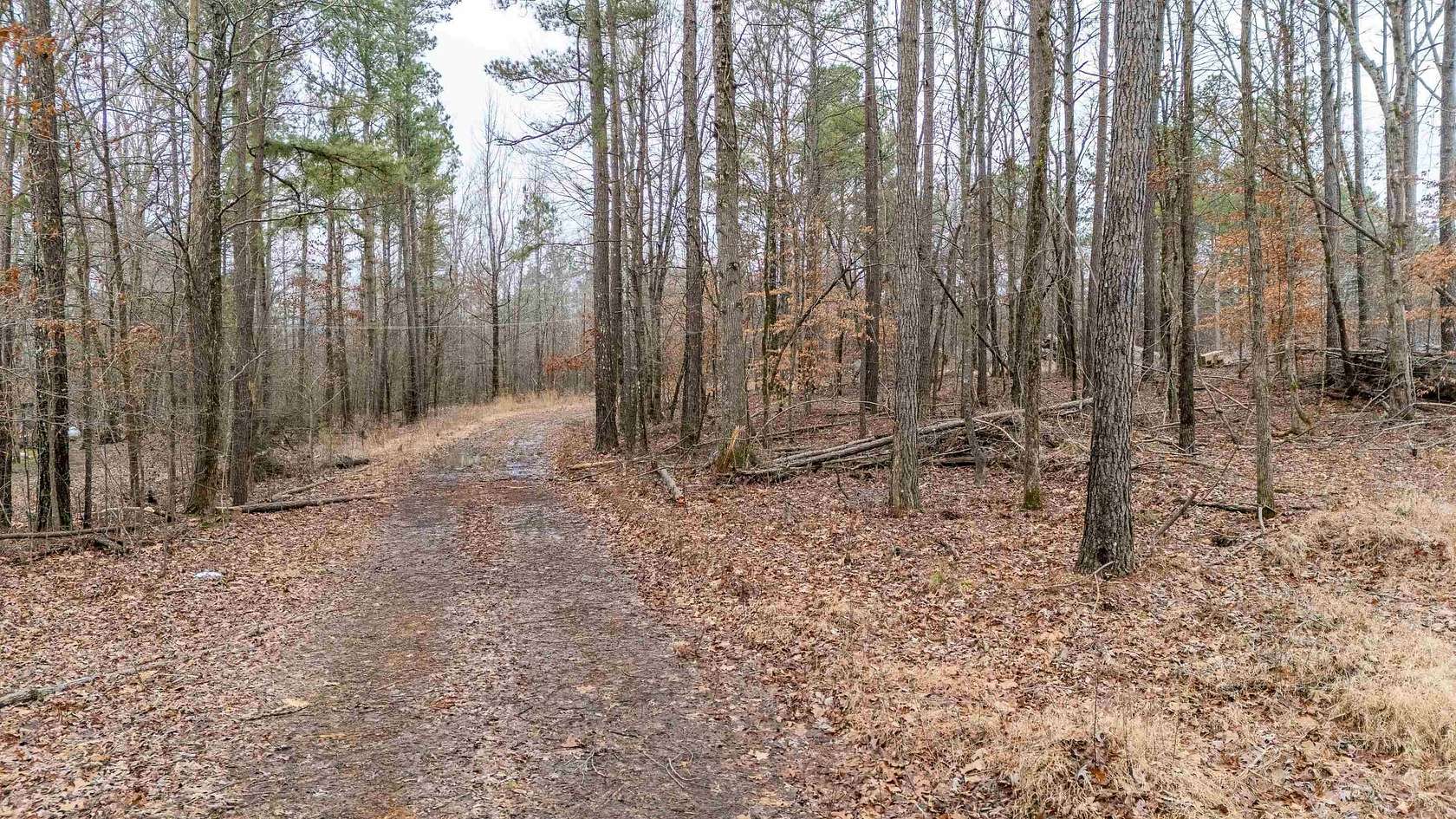 26 Acres of Land for Sale in Michie, Tennessee