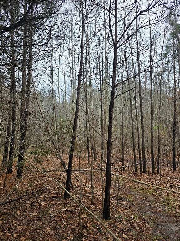 1 Acre of Residential Land for Sale in Suffolk, Virginia