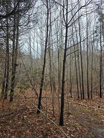 1 Acre of Residential Land for Sale in Suffolk, Virginia