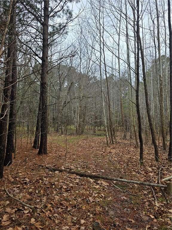 1 Acre of Land for Sale in Suffolk, Virginia