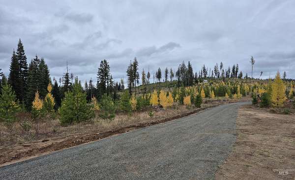 17.9 Acres of Recreational Land for Sale in Elk City, Idaho