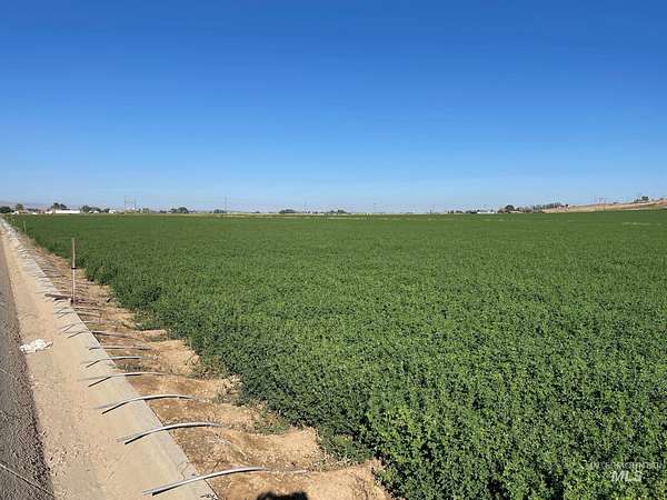 53.5 Acres of Agricultural Land for Sale in Melba, Idaho