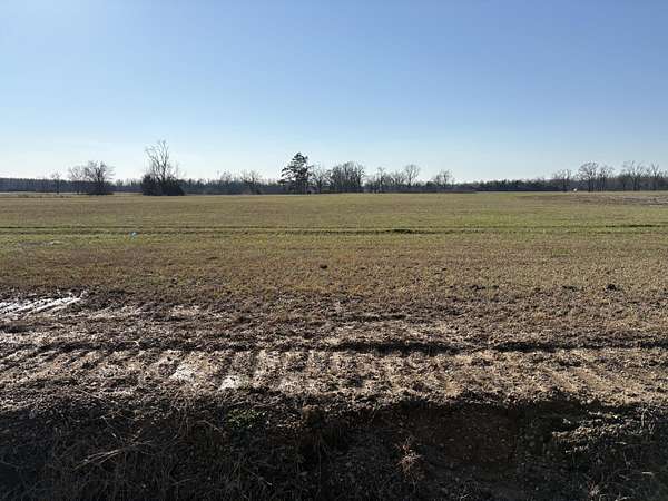 3.63 Acres of Residential Land for Sale in New Albany, Mississippi