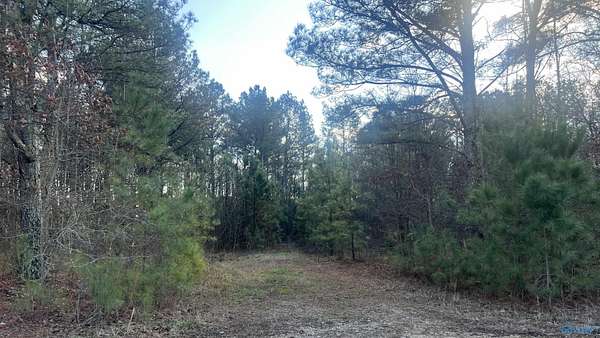 1.3 Acres of Land for Sale in Centre, Alabama