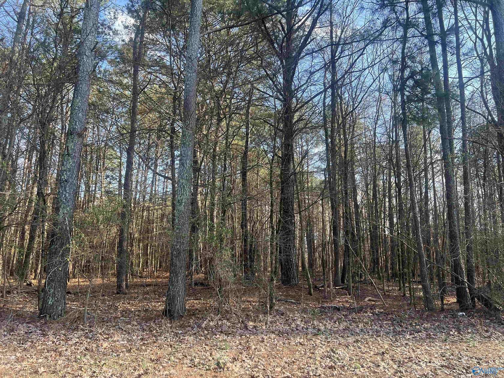 1.3 Acres of Land for Sale in Centre, Alabama