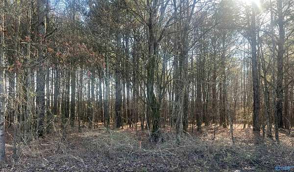 1.25 Acres of Land for Sale in Centre, Alabama