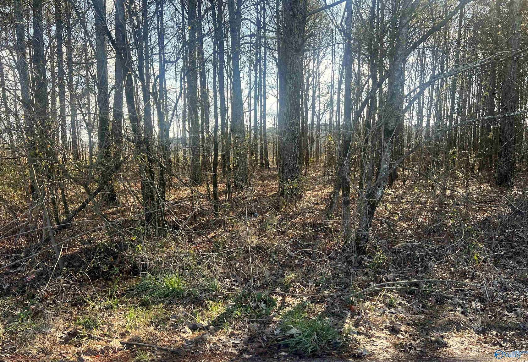 0.95 Acres of Land for Sale in Centre, Alabama
