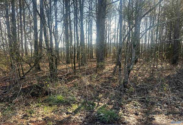 0.95 Acres of Land for Sale in Centre, Alabama