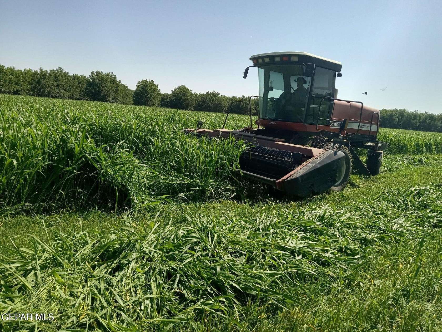 11.9 Acres of Land for Sale in Fabens, Texas