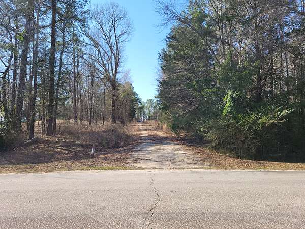 5.2 Acres of Residential Land for Auction in Waverly, Alabama