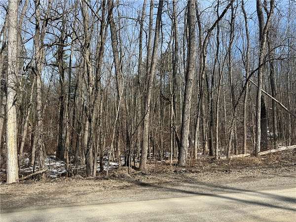 15 Acres of Land for Sale in Prattsburgh, New York