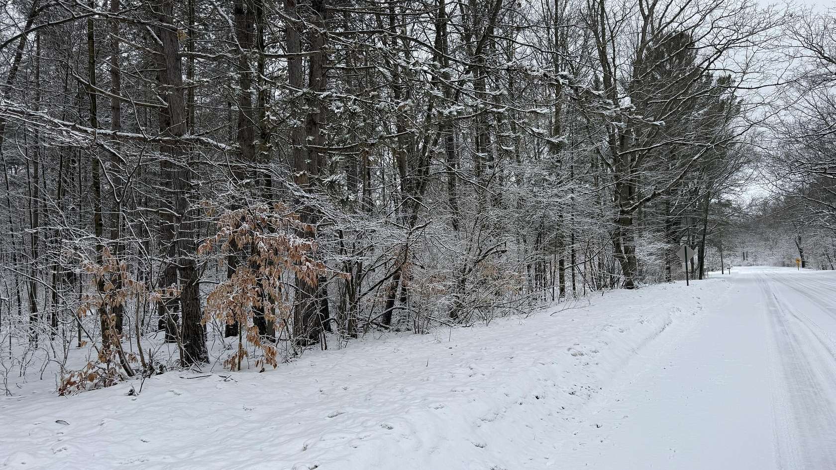 15 Acres of Recreational Land for Sale in Branch Township, Michigan