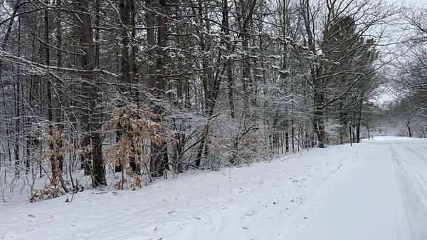 15 Acres of Recreational Land for Sale in Branch Township, Michigan