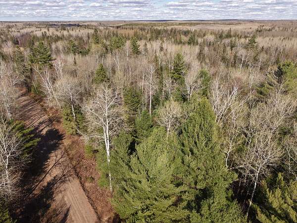 4.67 Acres of Land for Sale in Loretta, Wisconsin