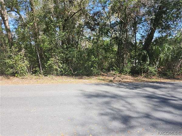 0.34 Acres of Residential Land for Sale in Citrus Springs, Florida