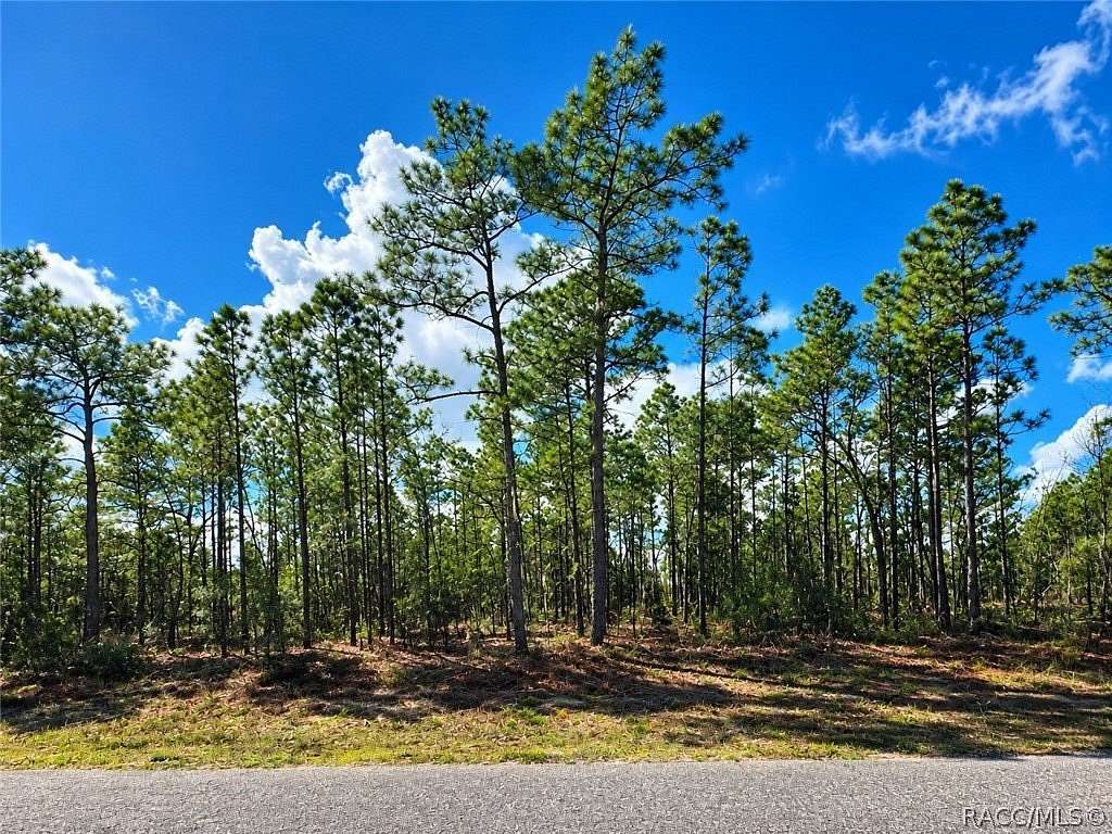 0.23 Acres of Residential Land for Sale in Dunnellon, Florida