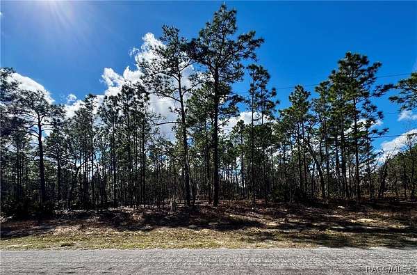 0.23 Acres of Residential Land for Sale in Dunnellon, Florida