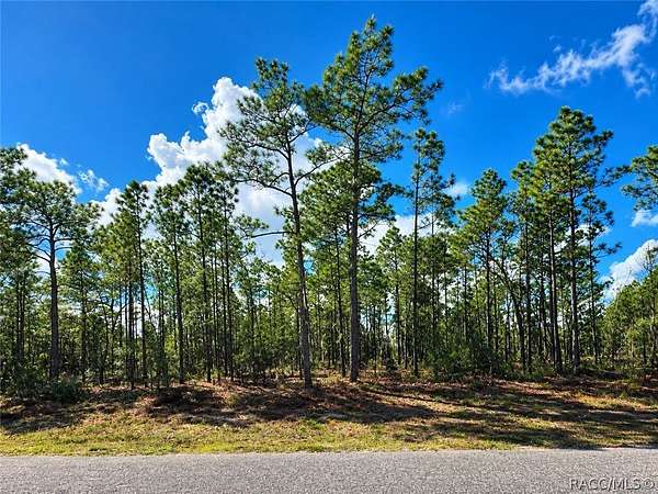 0.23 Acres of Residential Land for Sale in Dunnellon, Florida
