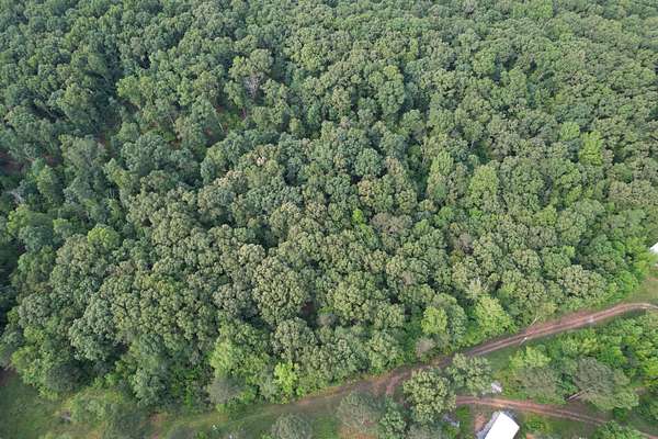 5 Acres of Land for Sale in Summertown, Tennessee