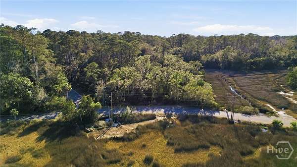 6 Acres of Improved Residential Land for Sale in Savannah, Georgia