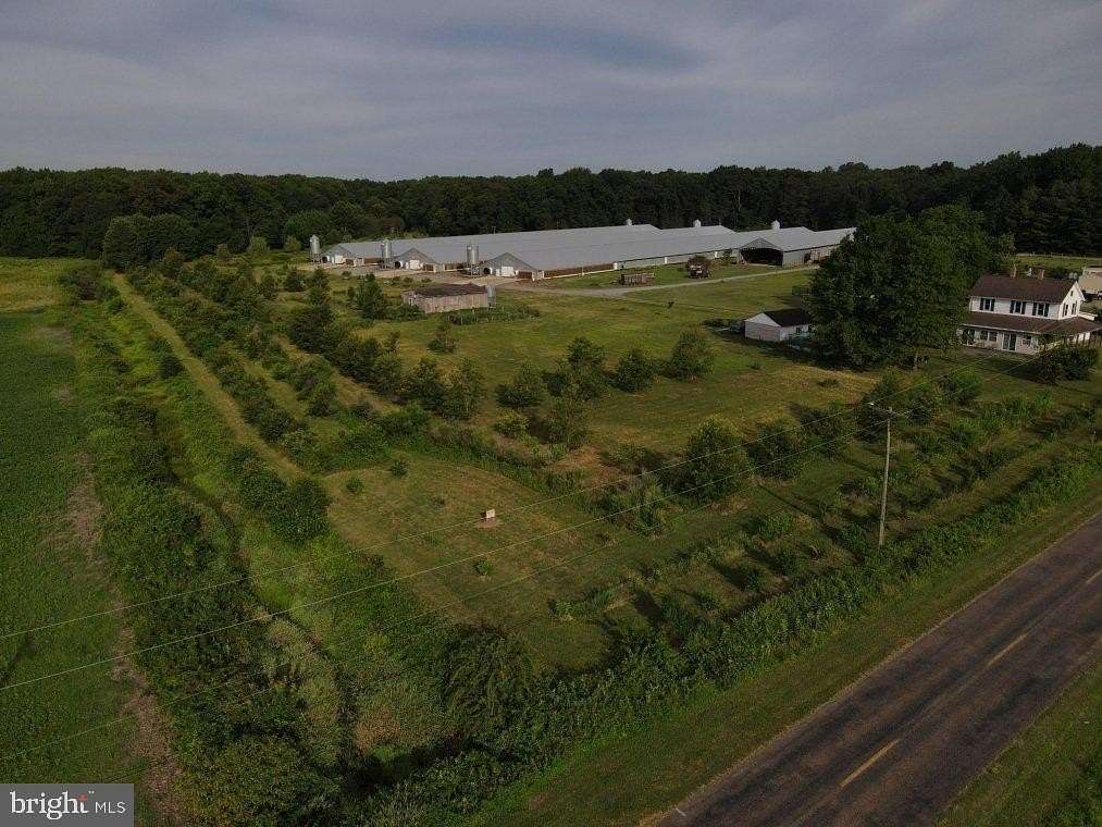 25.8 Acres of Agricultural Land with Home for Sale in Marydel, Maryland