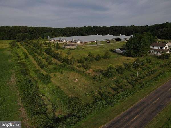 25.8 Acres of Agricultural Land with Home for Sale in Marydel, Maryland