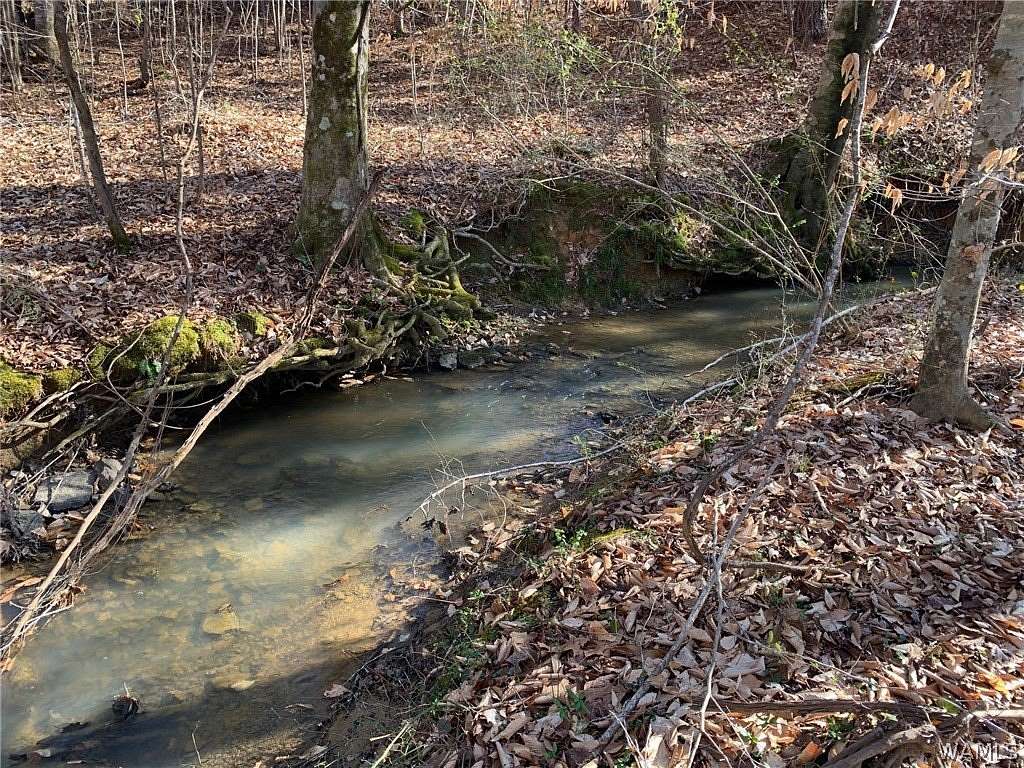 8.68 Acres of Residential Land for Sale in West Blocton, Alabama