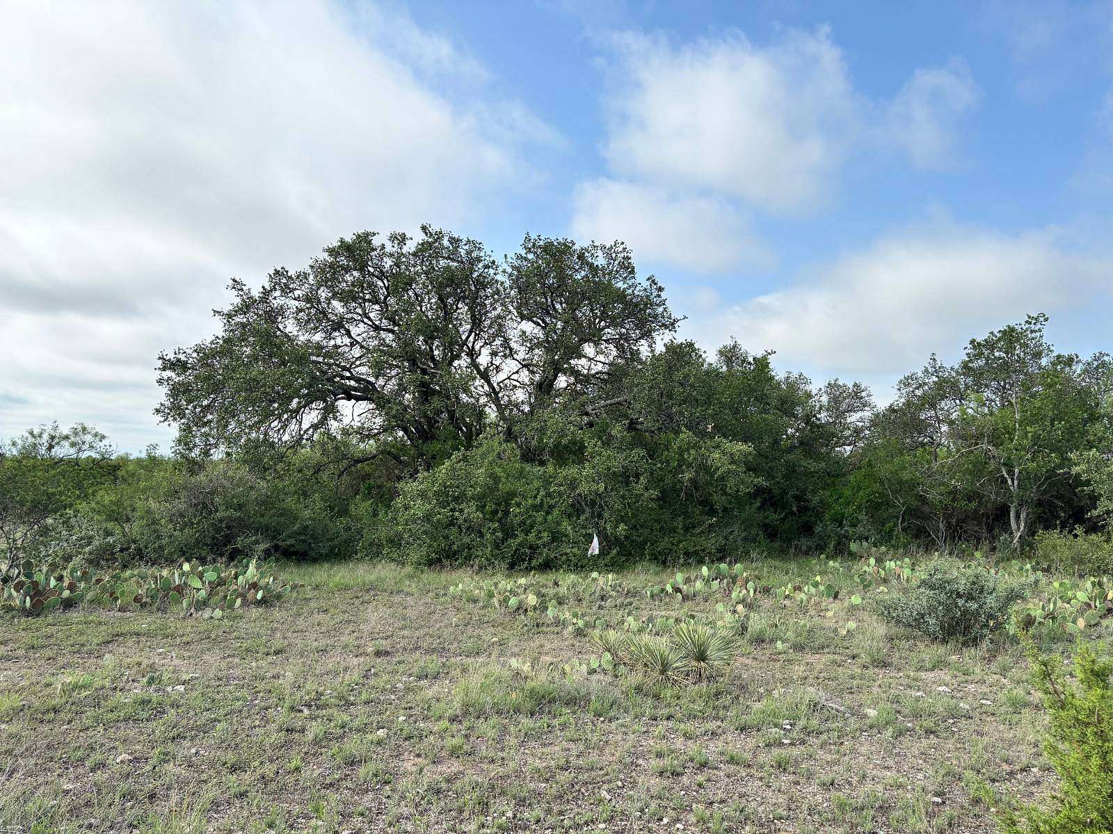 19 Acres of Land for Sale in Brady, Texas