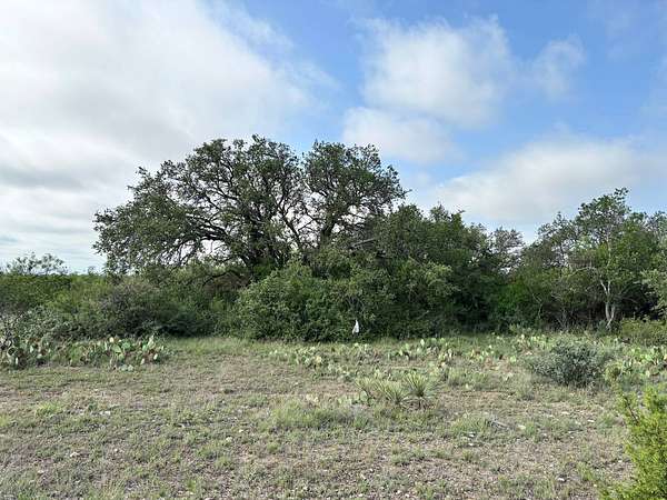 19 Acres of Land for Sale in Brady, Texas