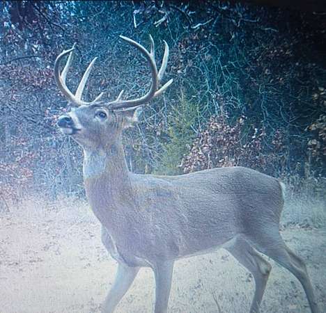 160 Acres of Recreational Land for Sale in Milford Township, Missouri