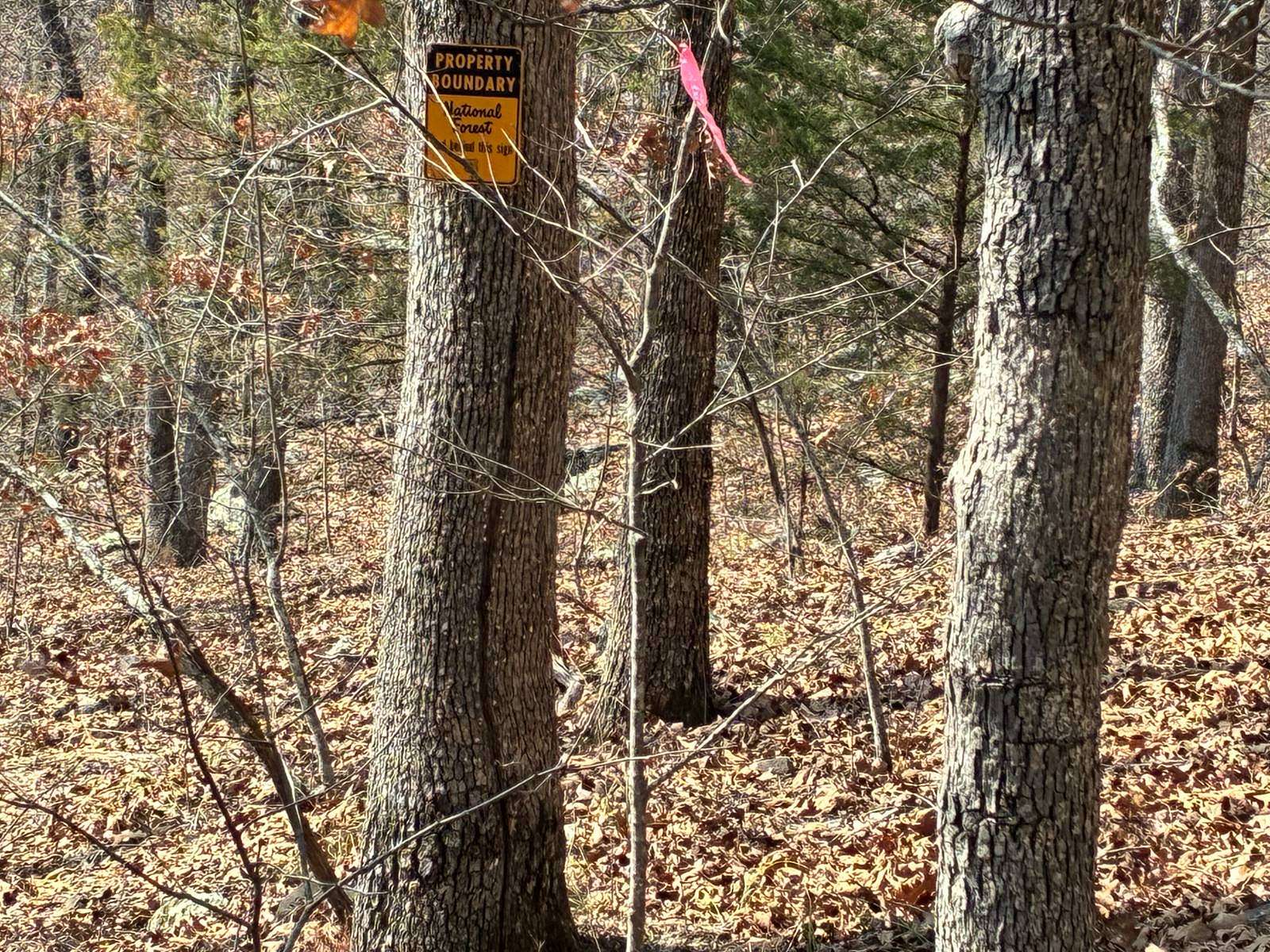 20 Acres of Recreational & Residential Land for Sale in Mountainburg, Arkansas