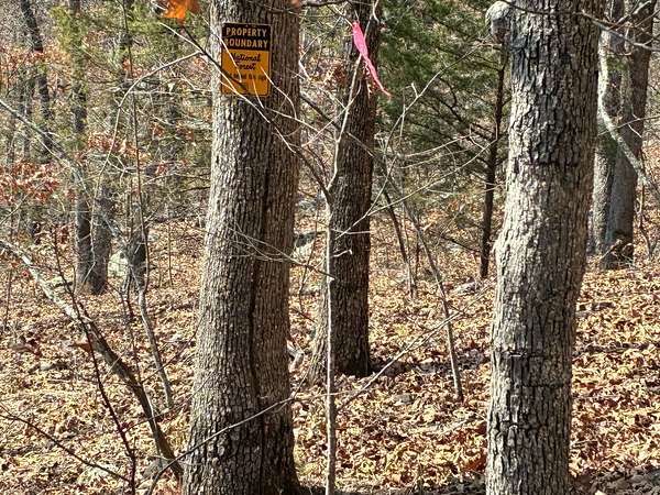 20 Acres of Recreational & Residential Land for Sale in Mountainburg, Arkansas