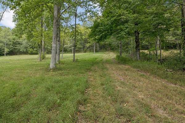 46.2 Acres of Land for Sale in Gainesboro, Tennessee