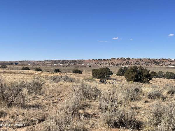 305 Acres of Land for Sale in Sanders, Arizona