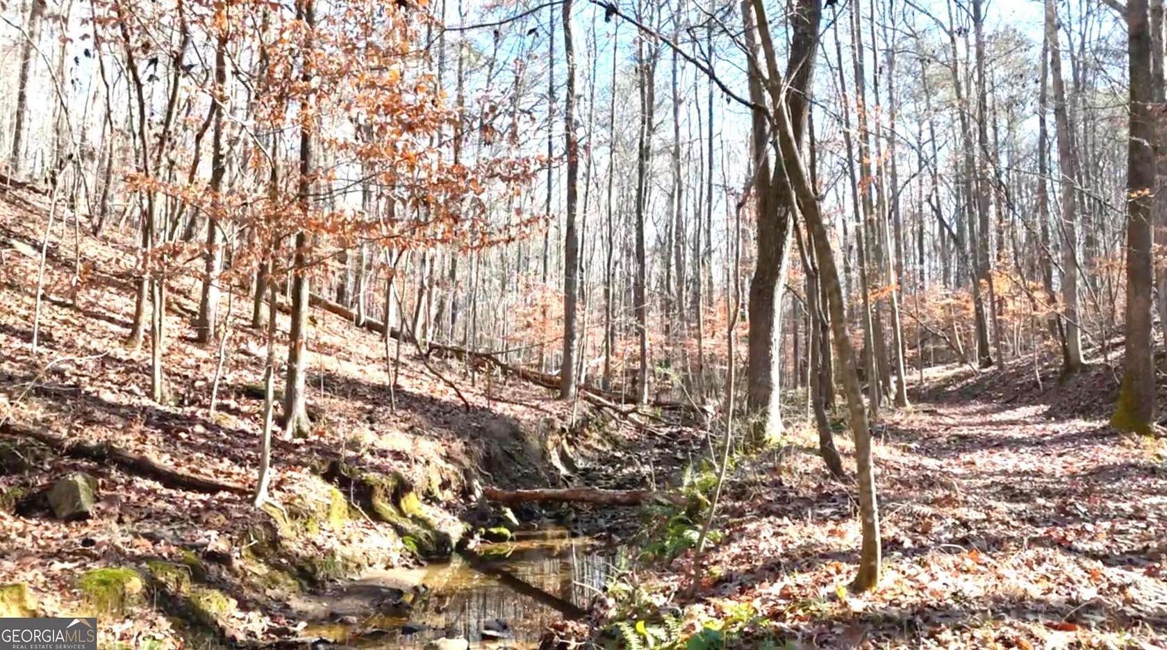 7.3 Acres of Residential Land for Sale in Acworth, Georgia