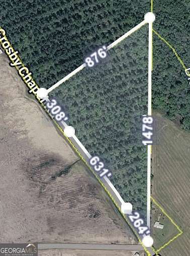 12 Acres of Land for Sale in Baxley, Georgia