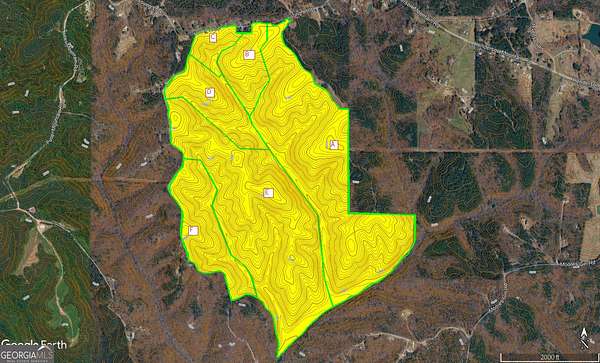 47 Acres of Recreational Land for Sale in Fairmount, Georgia